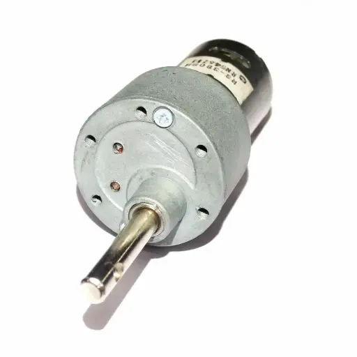 Johnson motor 300 rpm